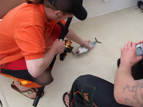 free road map Dominican Republic