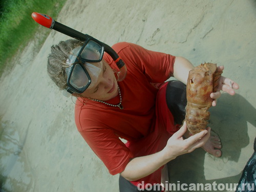 free road map Dominican Republic