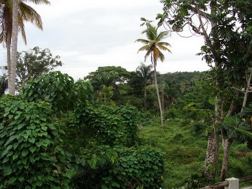 free road map Dominican Republic