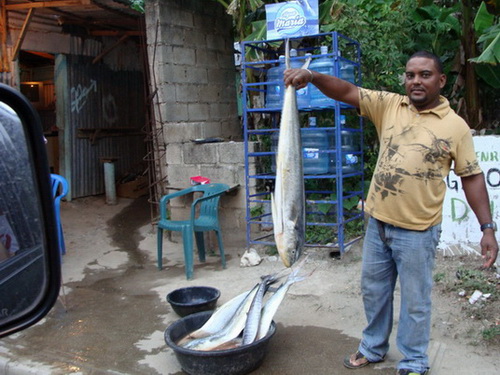 free road map Dominican Republic