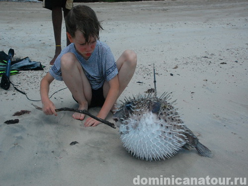 free road map Dominican Republic