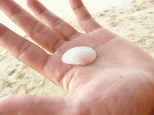 free road map Dominican Republic