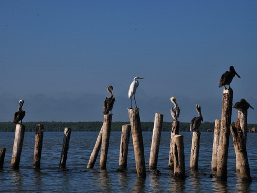 free road map Dominican Republic