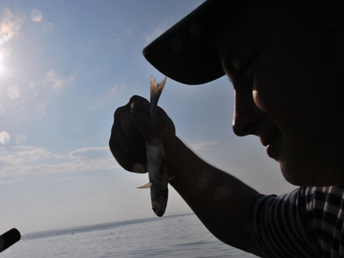 free road map Dominican Republic