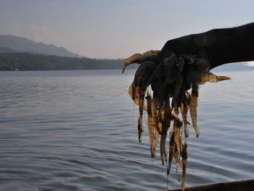 free road map Dominican Republic