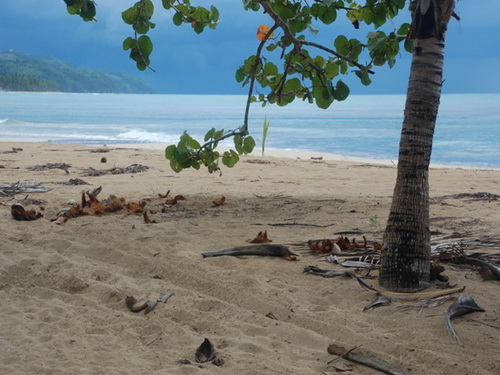 free road map Dominican Republic